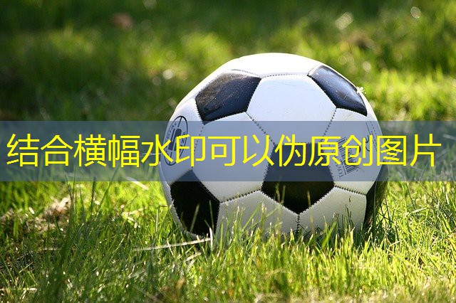 多功能划船健身器材