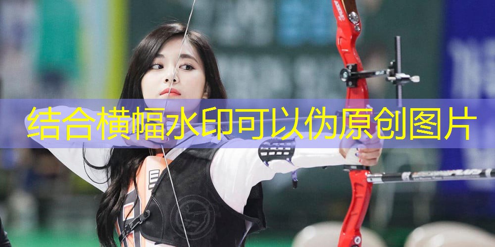 每天半小时室内运动健身