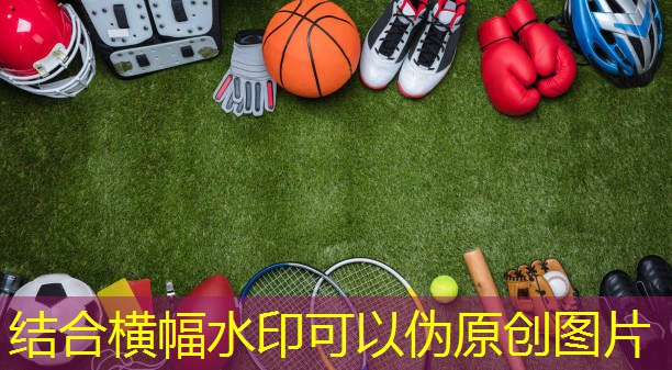 室内男性健身计划