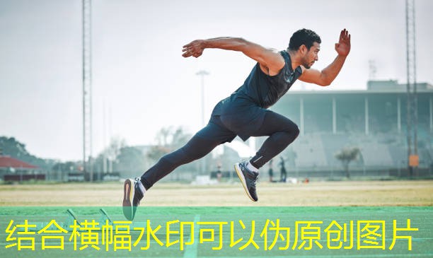 室内运动健身燃脂女