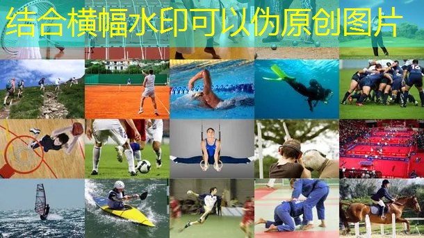 室内健身腿部力量