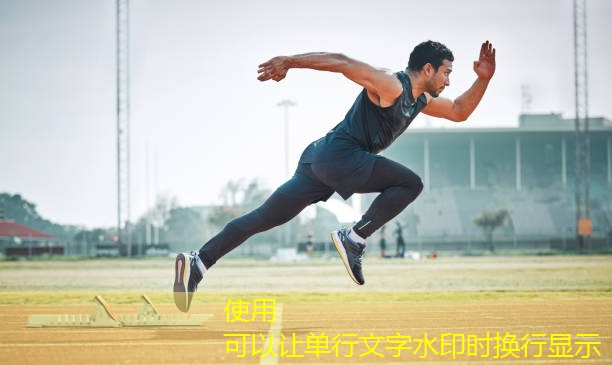杠铃架器材