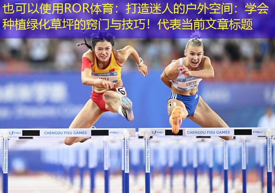 打造迷人的户外空间：学会种植绿化草坪的窍门与技巧！