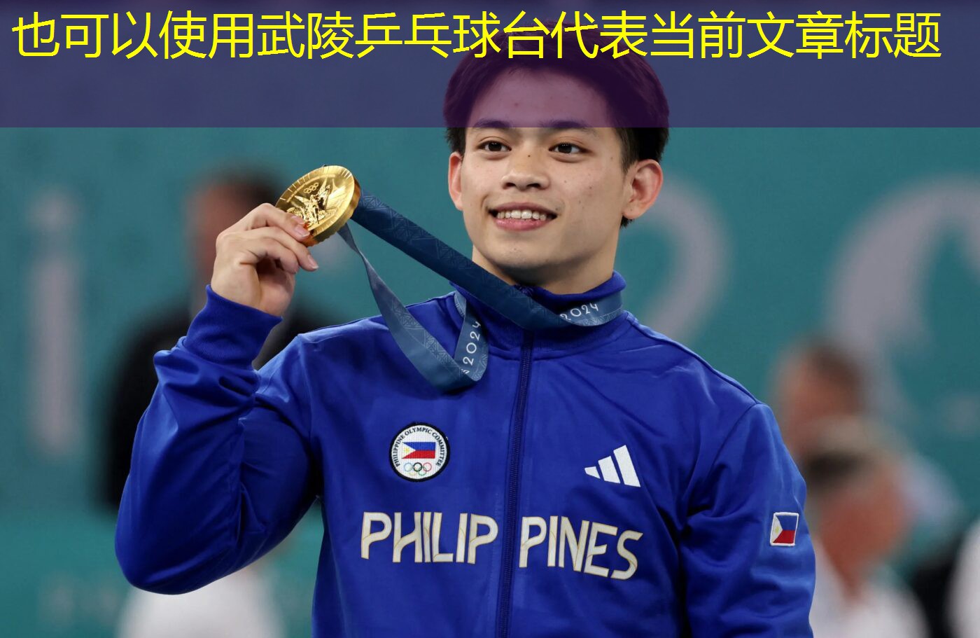 武陵乒乓球台